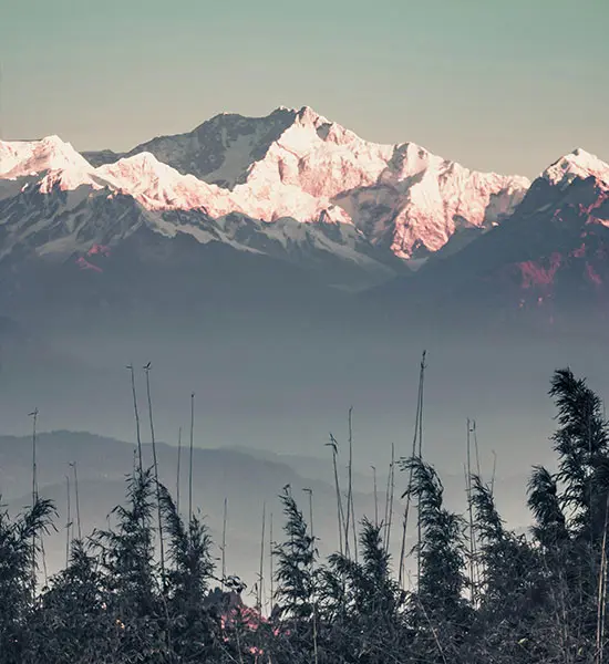 Darjeeling: The Queen of Hills