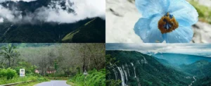 Best Monsoon Travel Destinations in India