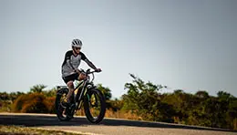 Person enjoying a scenic cycle ride along a path, surrounded by nature or urban landscape.