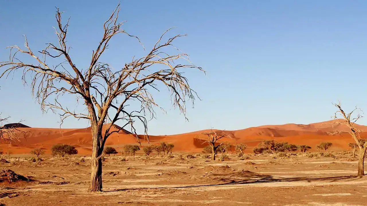 Dramatic desert landscape of Sossusvlei with towering red sand dunes under a clear blue sky in Namibia’s Skeleton Coast region — one of the best destinations in Africa.