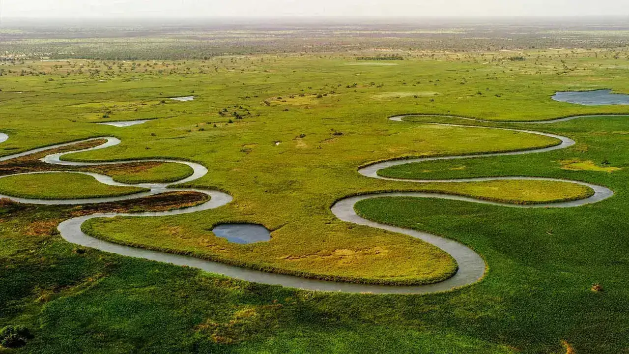 Scenic view of the Okavango Delta in Botswana, a top destination for safari in Africa.